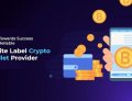 Tips to Choose a Trustworthy White Label Crypto Wallet Provider